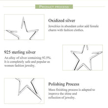 Load image into Gallery viewer, Exquisite star earrings
