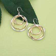 Load image into Gallery viewer, Multi circle earrings
